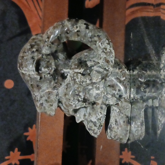 Yoooerlite Skull with Ram Head - Picture 4 of 5